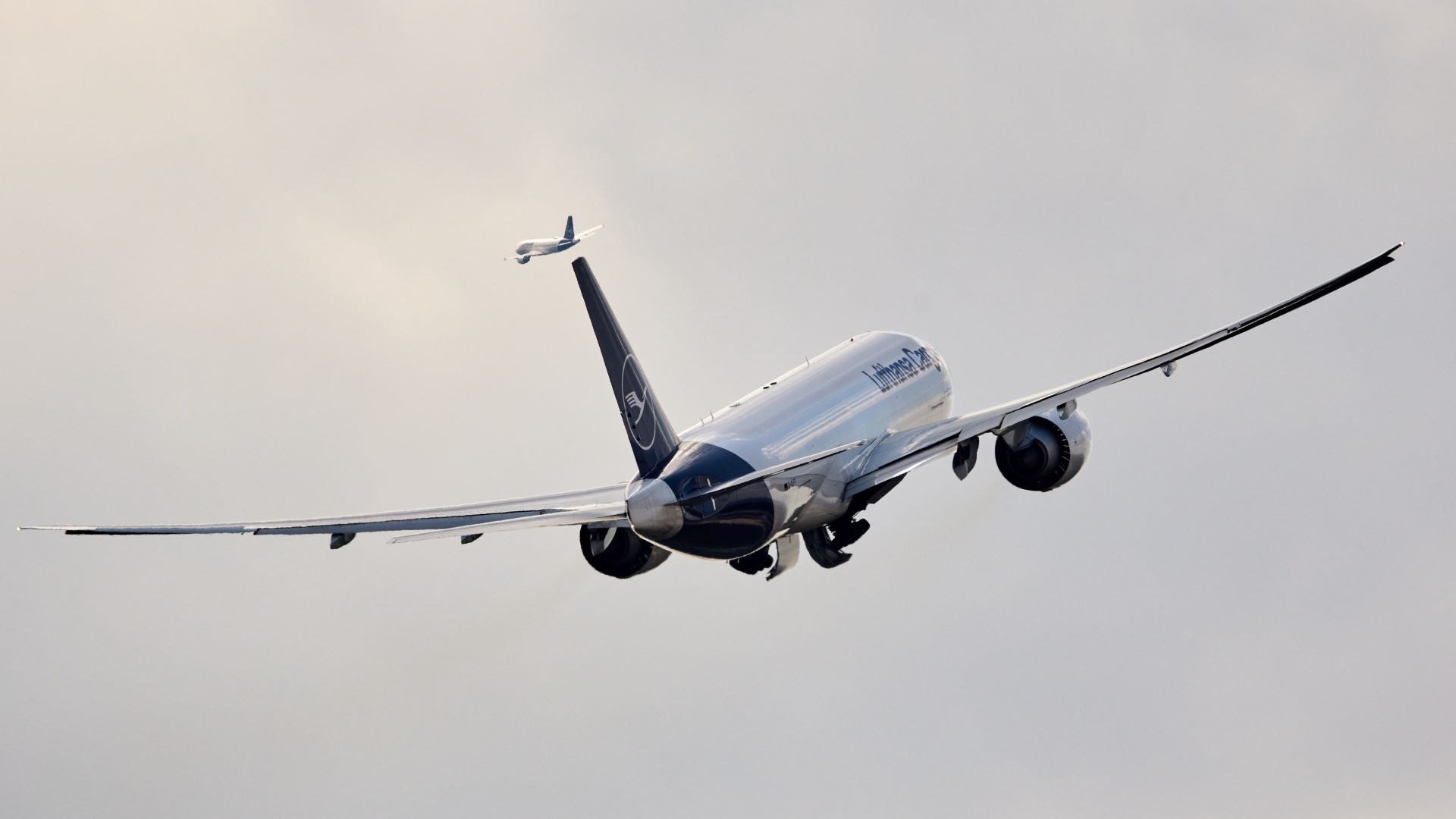 A white Lufthansa Cargo jet with a blue tail viewed from the rear as it rises in the sky.