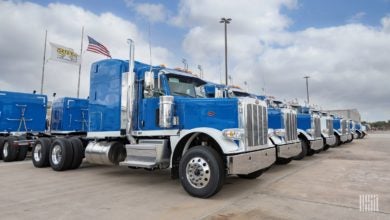 Rows of blue Peterbilt trucks