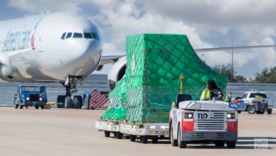 An airport tug pulls a cargo wagon in front of a white jet.