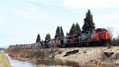 A CN train hauling rail cars passes by a grove of evergreen trees.