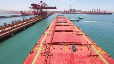 photo of a dry bulk carrier