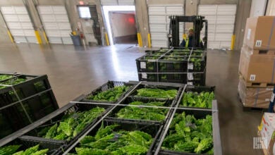 A forklift moving pallets of lettuce in a cold storage facility