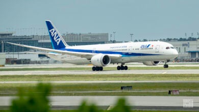 A blue-tailed ANA jet takes off.