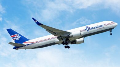 A blue-tailed Amerijet cargo jet rises into the blue sky.