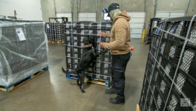 A man wearing a baseball cap leads a black dog through a warehouse during a cargo security inspection.