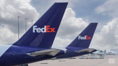 Close up of purple tails on FedEx jets.