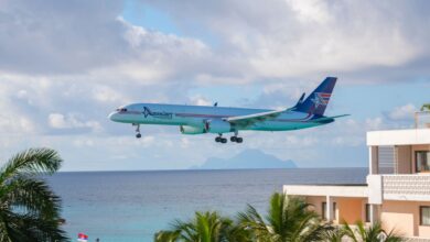 An Amerijet cargo plane with blue tail approaching runway on a Caribbean island with ocean water in the background and palm tree nearby.