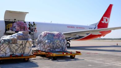 Cargo pallets being loaded on a red-tailed JD Airlines plane.