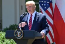 Donald Trump at the podium in the Rose Garden.