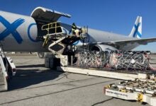 Pallets of cargo are moved onto a cargo jet with a hydraulic lift machines on a sunny day.