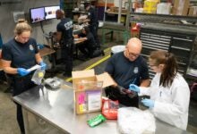 Customs inspectors look at the contents of a package at an airport inspection station.