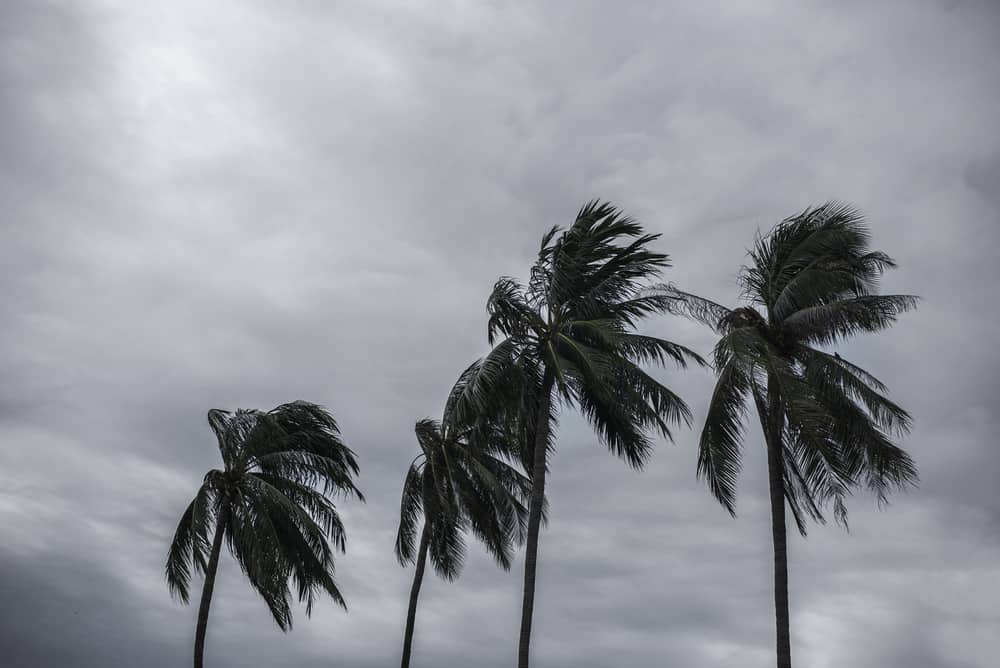 Eye on the storm: DC mayor declares state of emergency, mandatory ...