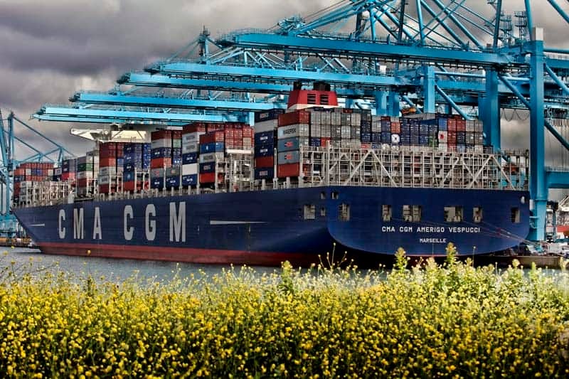 Port Report Pretariff rush pushes CMA CGM volumes and revenue higher