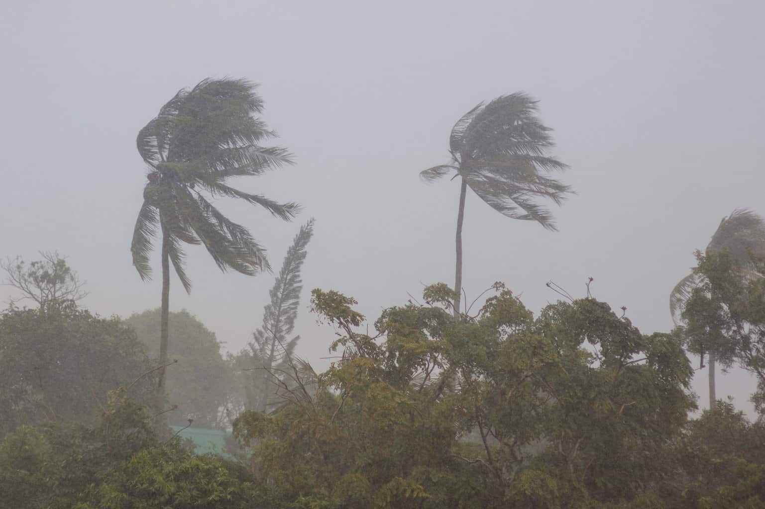 Second powerful cyclone headed for East Africa in 2019 - FreightWaves