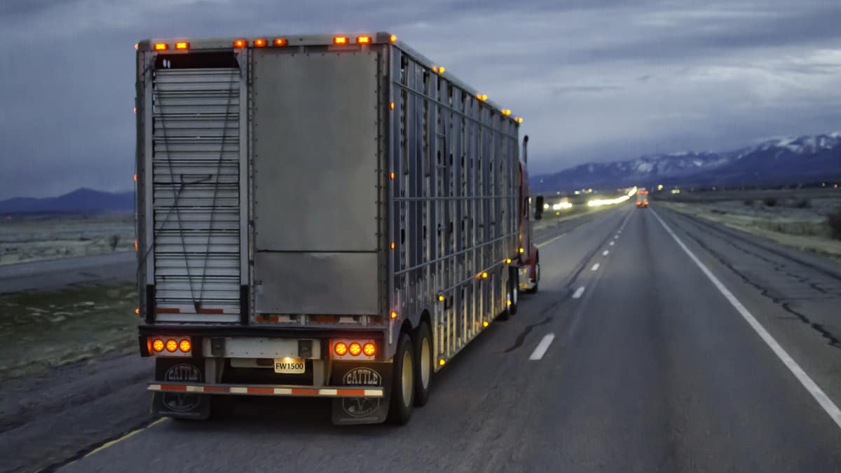 Food-as-software will make a chunk of ag-sector trucking obsolete (Photo: Jim Allen/FreightWaves)