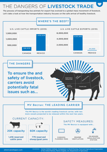 The Dangers of Livestock Trade - FreightWaves