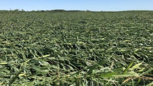 Windstorm Destroys Millions Of Acres Of Midwestern Crops - FreightWaves