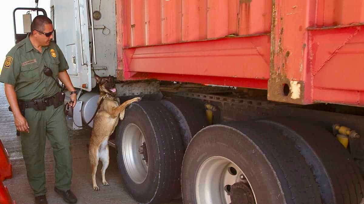 Texas border agents seize $12M in drugs from tractor-trailers ...