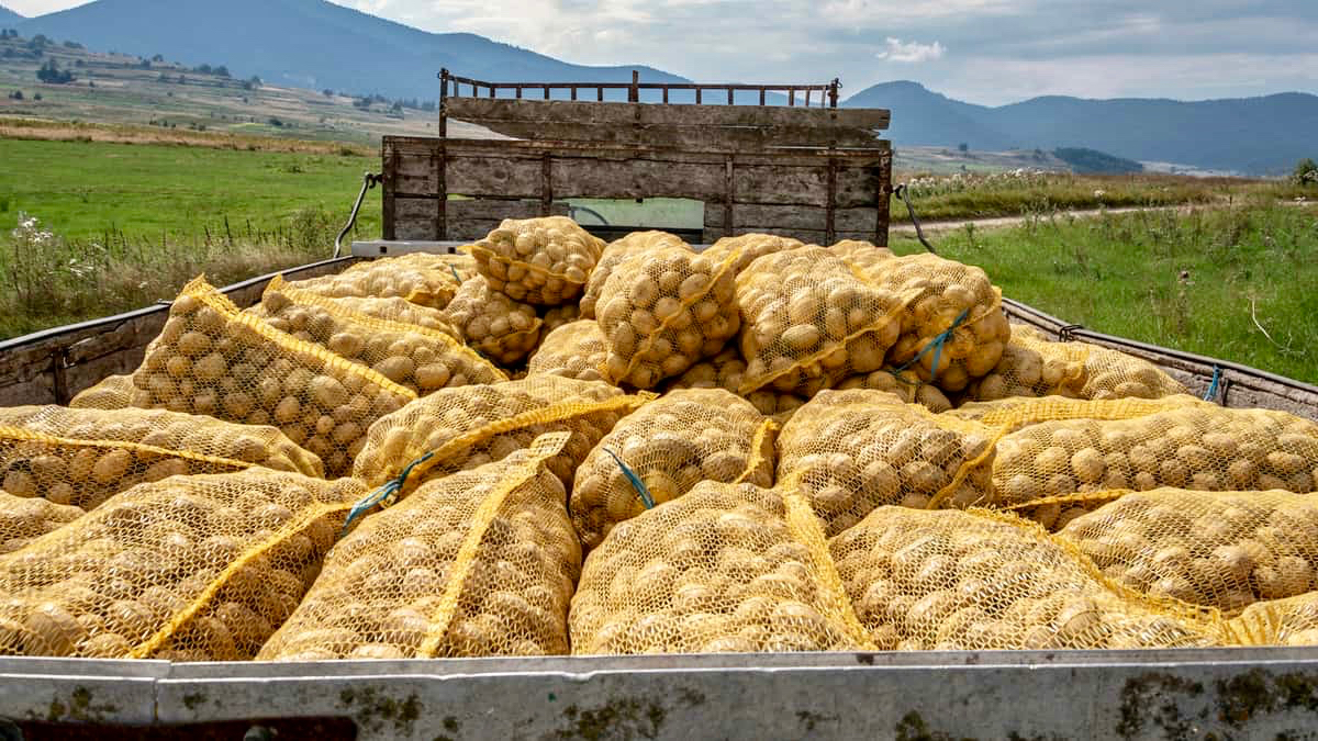 No small potatoes: Understanding risks and impacts to our agricultural  supply - Idaho National Laboratory