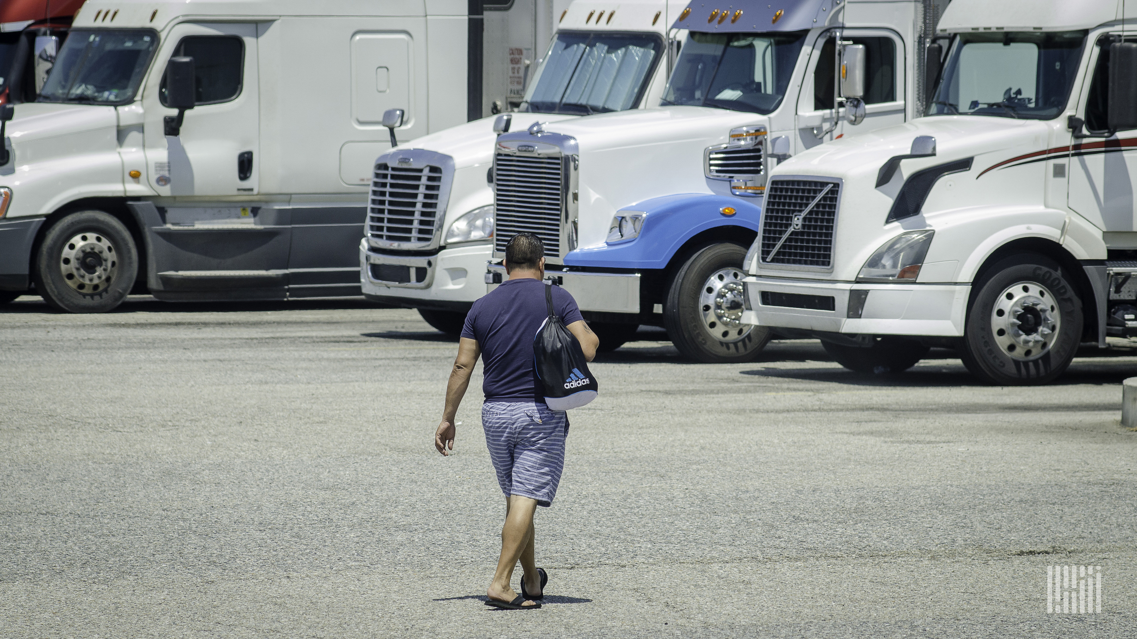 Lawmakers look to bolster ranks of young truck-driver program - FreightWaves