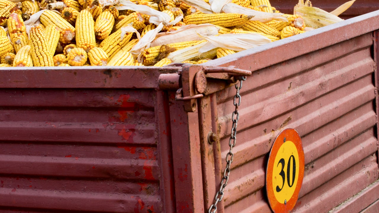 Borderlands: US Challenging Mexico's Import Ban On Corn - FreightWaves