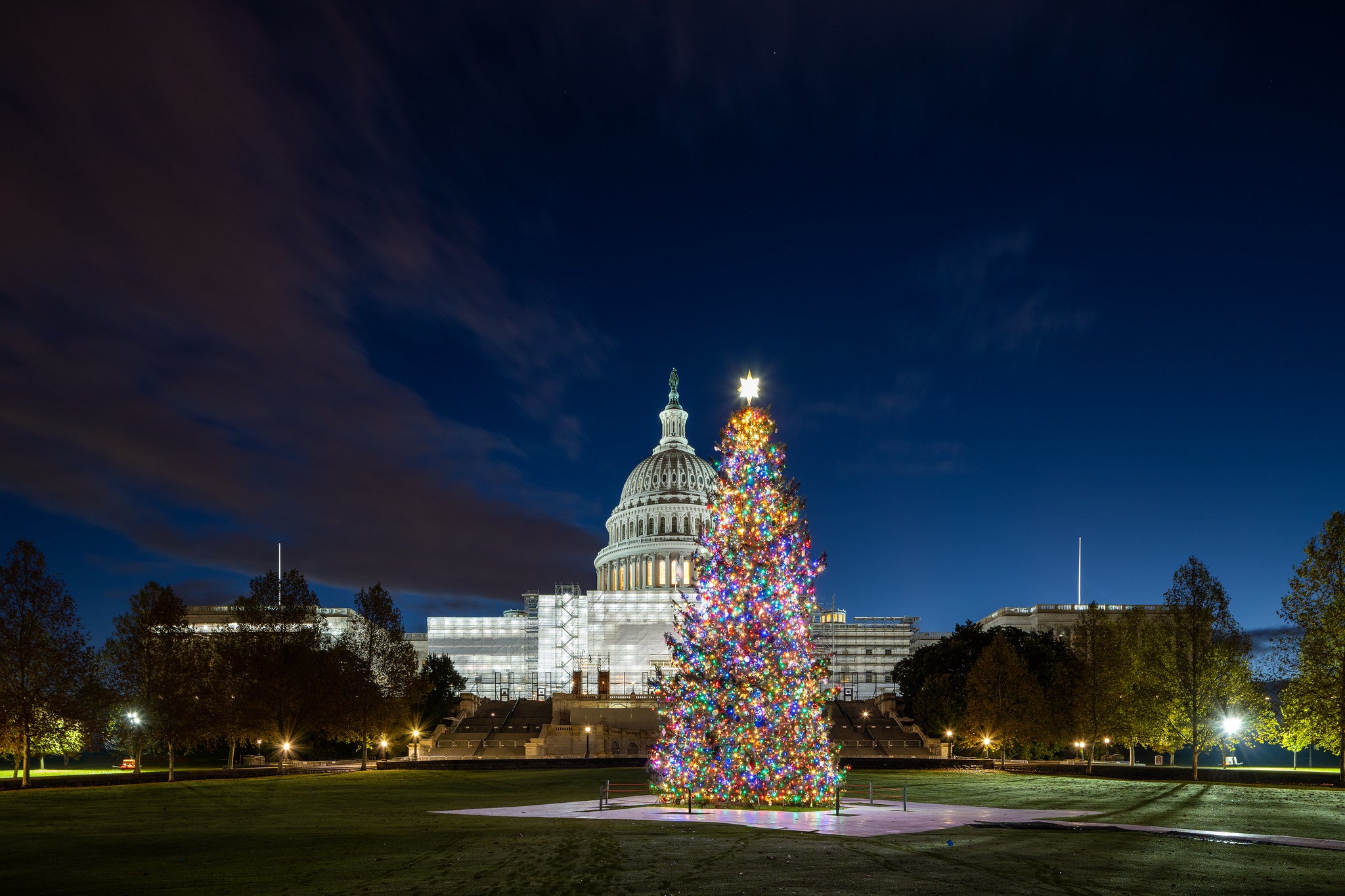 The Log Book: Hardy Brothers Trucking delivers U.S. Capitol Christmas ...