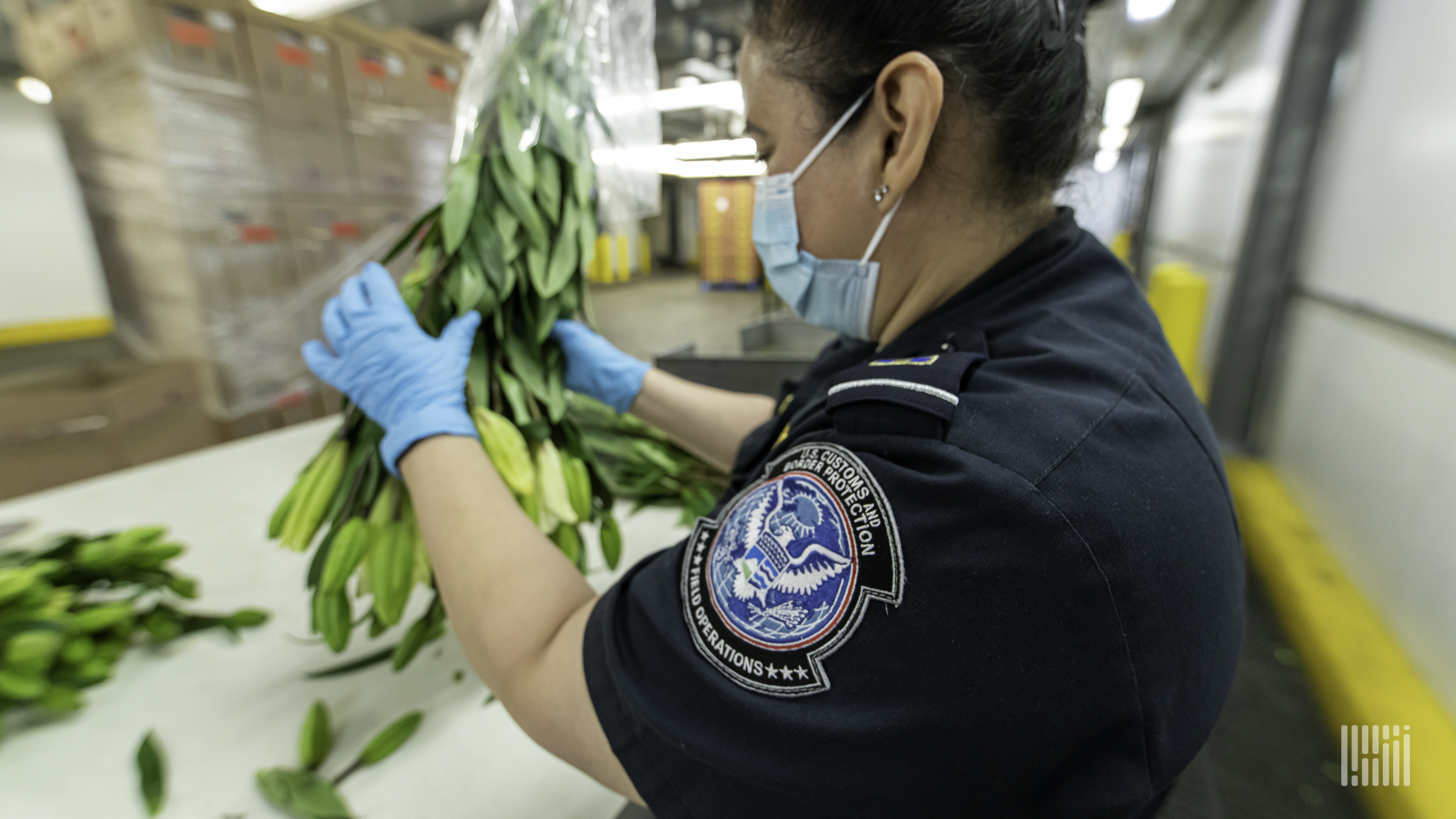 Buffalo NY Border Patrol Agents Seize Fake NFL Jerseys