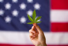 marijuana leaf in front of united states flag for legalization