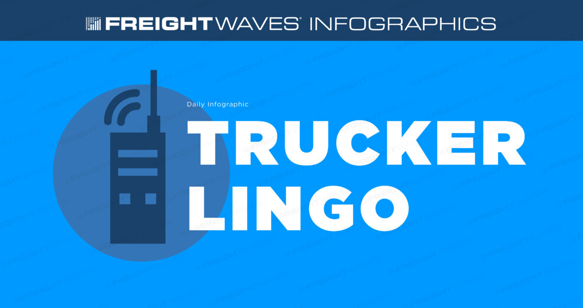 Daily Infographic: Truck driver essentials: Things truckers describe as  'must-haves' - FreightWaves