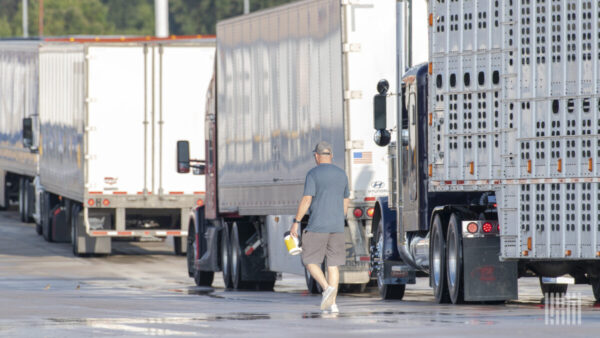 Lawmakers look to bolster ranks of young truck-driver program - FreightWaves